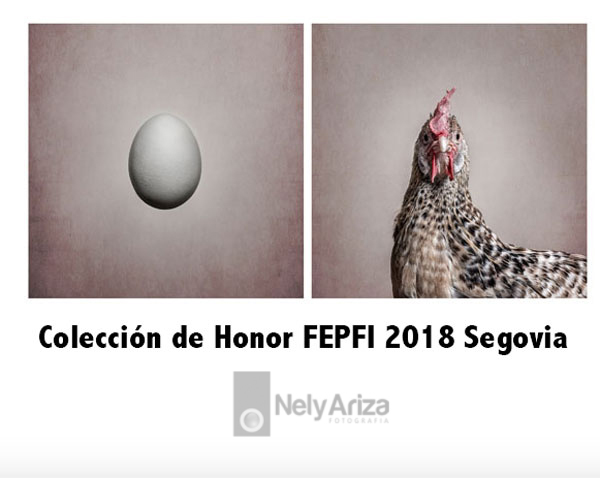 Fotografía calificaciones FEPFI 2018 Nely Ariza