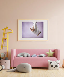 Decoracion de paredes con fotografías de autor Gato
